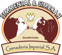Logo Simmental y Simbrah